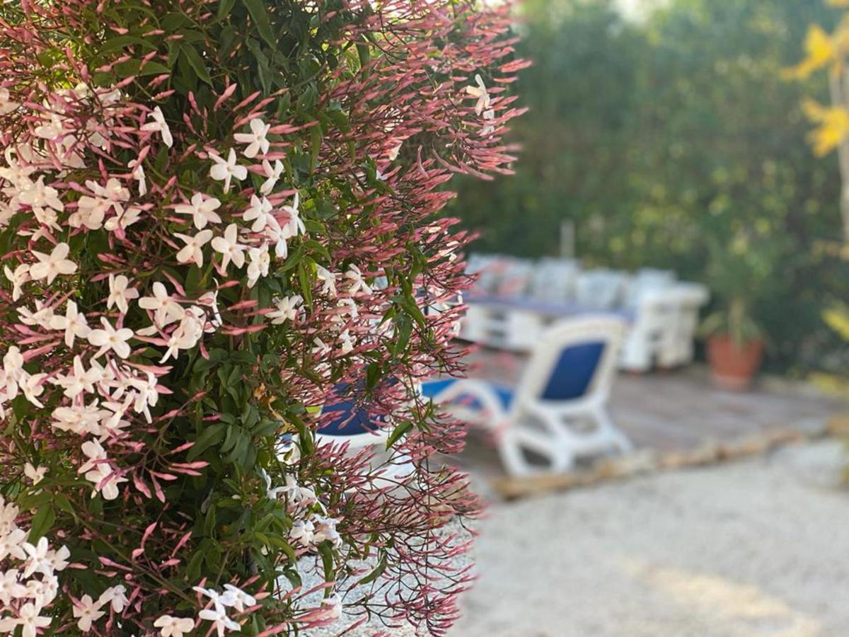 Lovely 2 Bed Apartment In Alcalalí Exterior photo